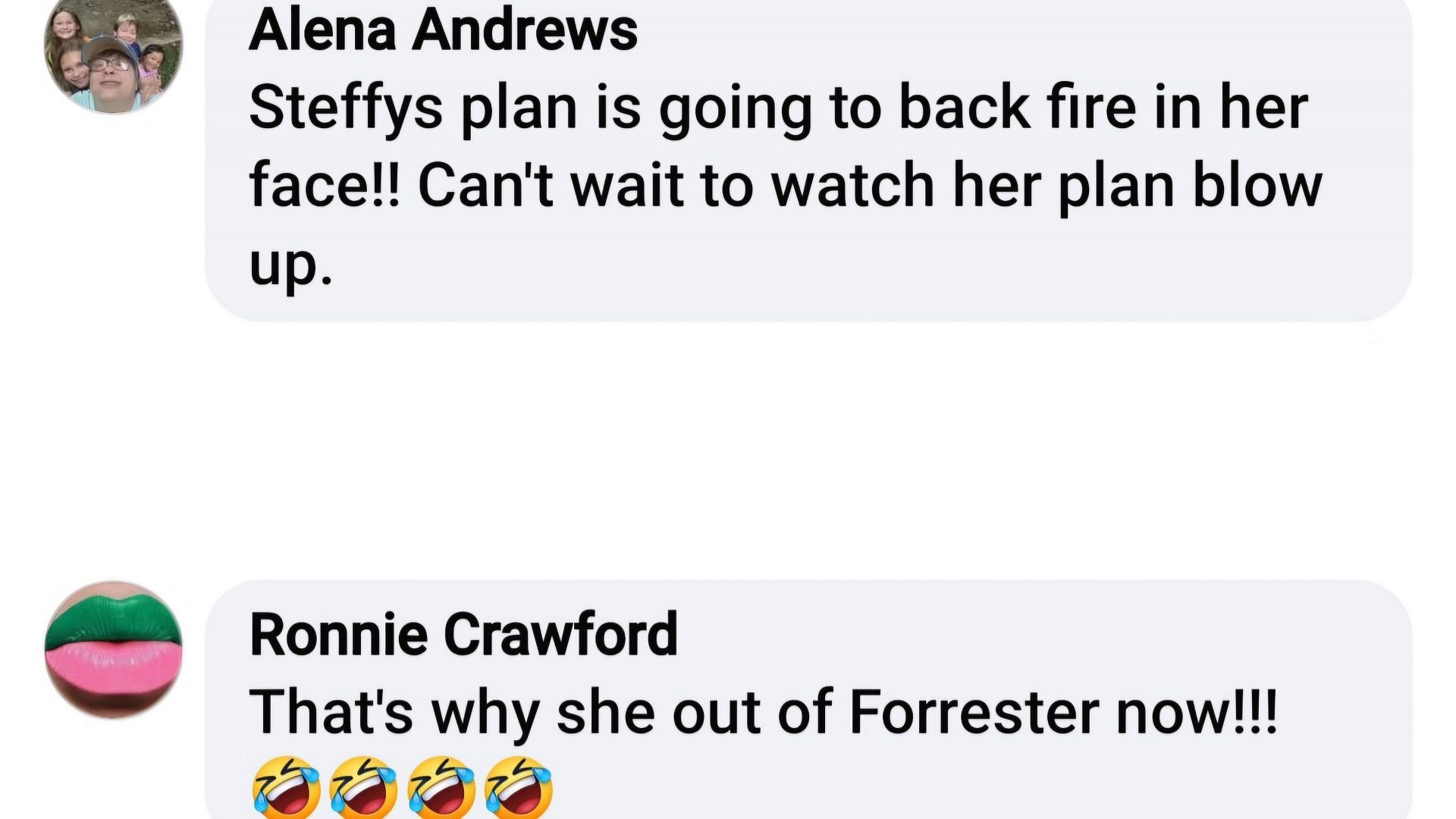 Fan discussing Steffy's history on the soap (Image via Facebook/@Mary Ray)